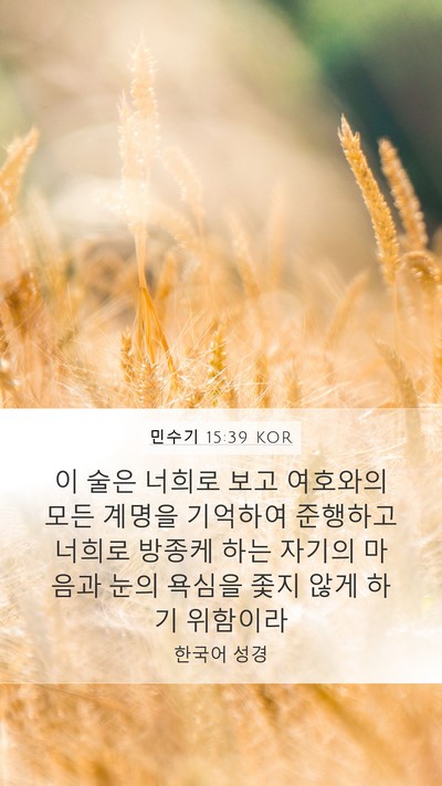 민수기 15:39 KOR Bible Verse Image