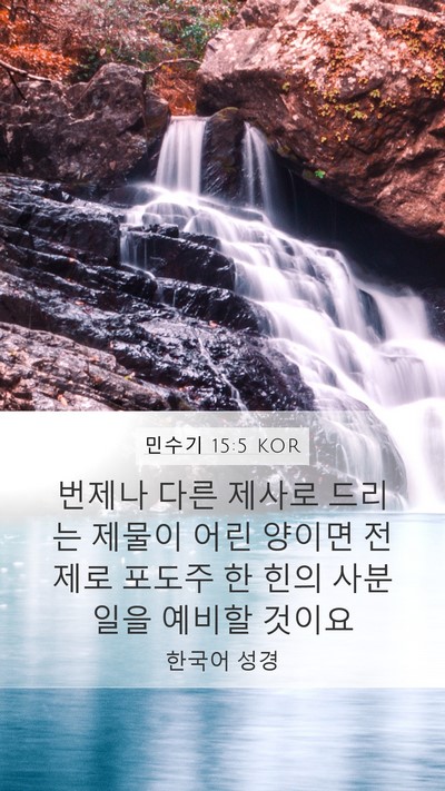 민수기 15:5 KOR Bible Verse Image