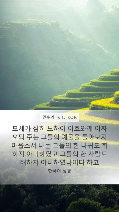 민수기 16:15 KOR Bible Verse Image