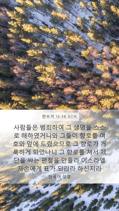 민수기 16:38 KOR Bible Verse Image