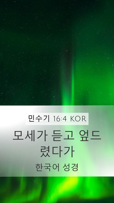 민수기 16:4 KOR Mobile Phone Wallpaper - 모세가 듣고 - Mobile Bible Verse Wallpaper