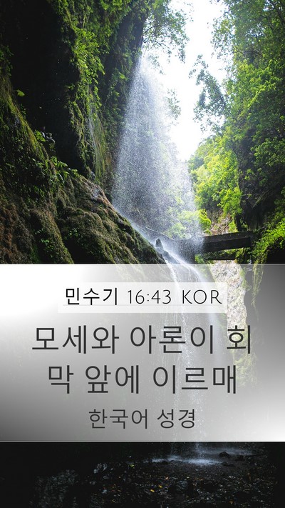 민수기 16:43 KOR Mobile Phone Wallpaper - 모세와 아론이 회막 앞에 - Mobile Bible Verse Wallpaper