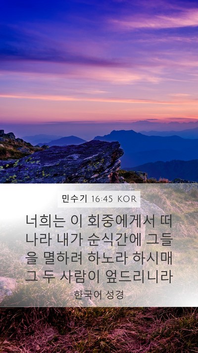 민수기 16:45 KOR Bible Verse Image