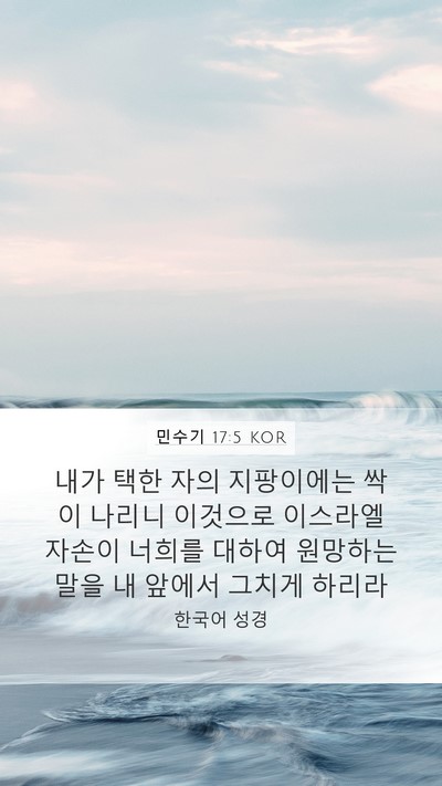 민수기 17:5 KOR Bible Verse Image