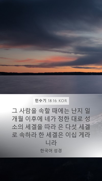 민수기 18:16 KOR Bible Verse Image