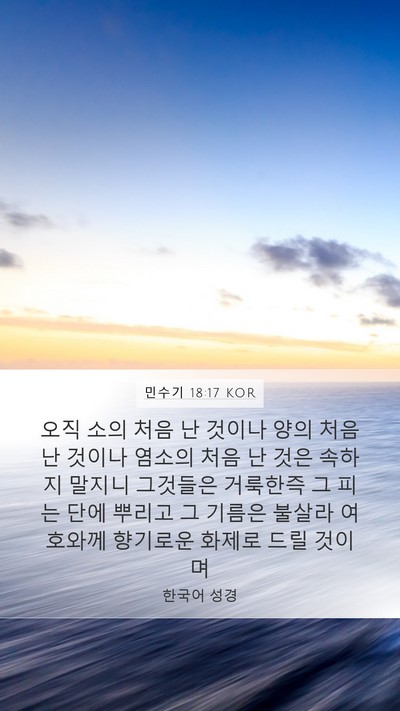 민수기 18:17 KOR Bible Verse Image