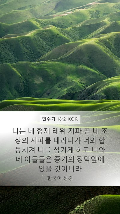 민수기 18:2 KOR Bible Verse Image