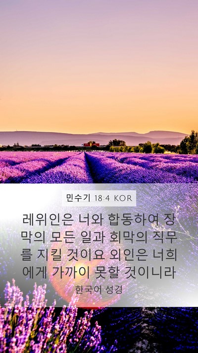 민수기 18:4 KOR Bible Verse Image