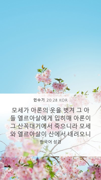 민수기 20:28 KOR Mobile Phone Wallpaper - 모세가 아론의 옷을 벗겨 그 아들 - Mobile Bible Verse Wallpaper