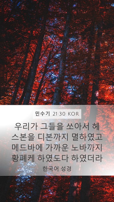 민수기 21:30 KOR Mobile Phone Wallpaper - 우리가 그들을 쏘아서 헤스본을 - Mobile Bible Verse Wallpaper