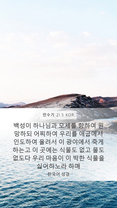 민수기 21:5 KOR Bible Verse Image