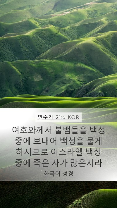 민수기 21:6 KOR Mobile Phone Wallpaper - 여호와께서 불뱀들을 백성 중에 - Mobile Bible Verse Wallpaper