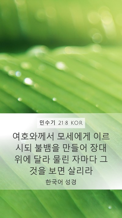 민수기 21:8 KOR Mobile Phone Wallpaper - 여호와께서 모세에게 이르시되 - Mobile Bible Verse Wallpaper