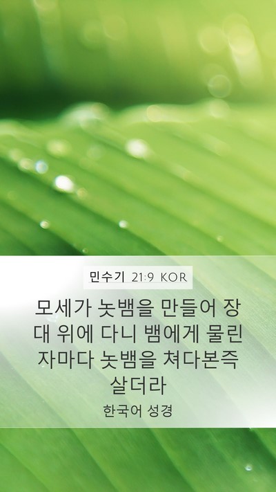 민수기 21:9 KOR Mobile Phone Wallpaper - 모세가 놋뱀을 만들어 장대 위에 - Mobile Bible Verse Wallpaper