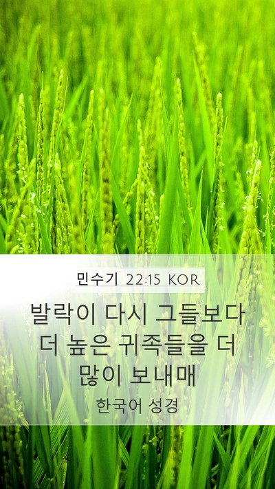 민수기 22:15 KOR Mobile Phone Wallpaper - 발락이 다시 그들보다 더 높은 - Mobile Bible Verse Wallpaper