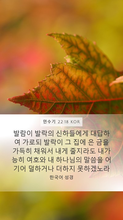 민수기 22:18 KOR Bible Verse Image