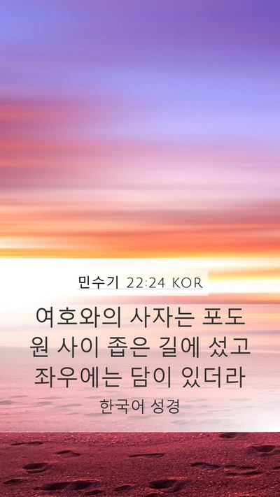 민수기 22:24 KOR Mobile Phone Wallpaper - 여호와의 사자는 포도원 사이 좁은 - Mobile Bible Verse Wallpaper