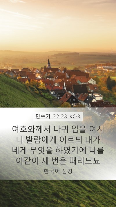 민수기 22:28 KOR Bible Verse Image