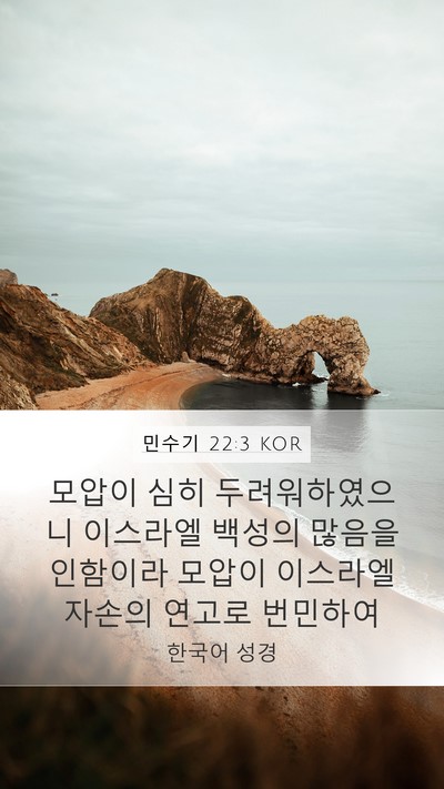 민수기 22:3 KOR Mobile Phone Wallpaper - 모압이 심히 두려워하였으니 - Mobile Bible Verse Wallpaper