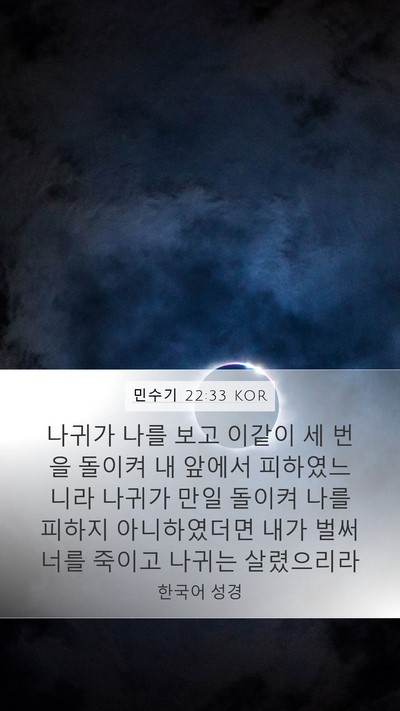 민수기 22:33 KOR Mobile Phone Wallpaper - 나귀가 나를 보고 이같이 세 번을 - Mobile Bible Verse Wallpaper