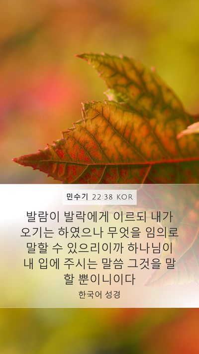 민수기 22:38 KOR Bible Verse Image