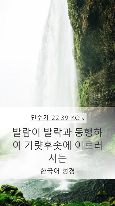 민수기 22:39 KOR Bible Verse Image