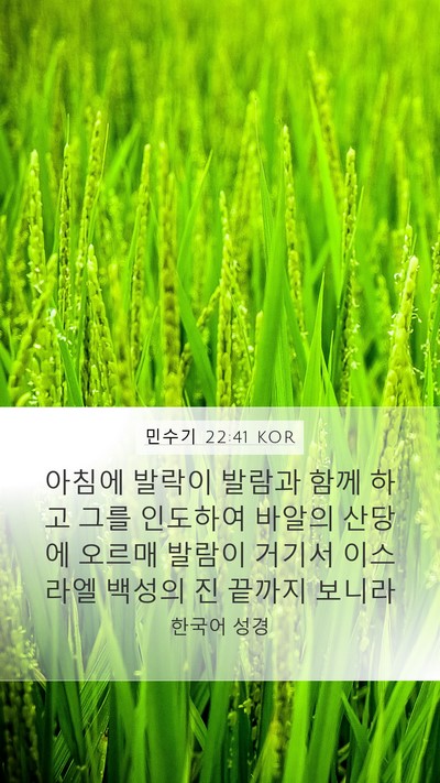민수기 22:41 KOR Bible Verse Image