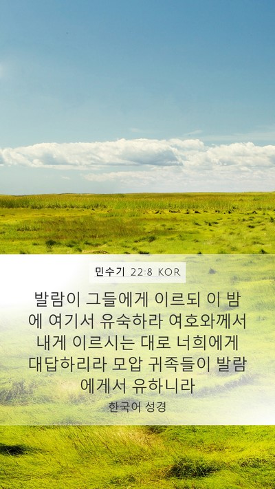민수기 22:8 KOR Mobile Phone Wallpaper - 발람이 그들에게 이르되 이 밤에 - Mobile Bible Verse Wallpaper