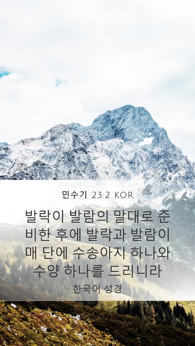 민수기 23:2 KOR Mobile Phone Wallpaper - 발락이 발람의 말대로 준비한 후에 - Mobile Bible Verse Wallpaper