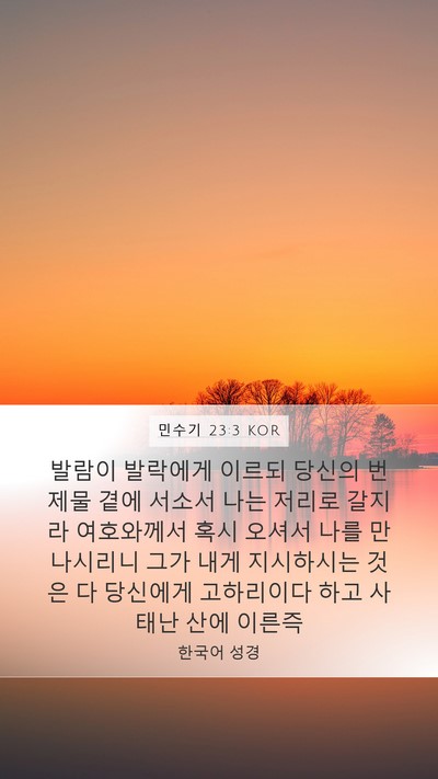 민수기 23:3 KOR Bible Verse Image
