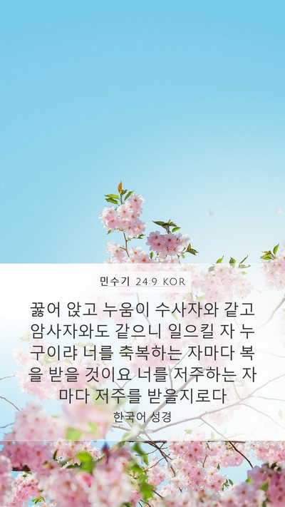 민수기 24:9 KOR Bible Verse Image