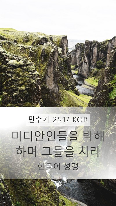 민수기 25:17 KOR Mobile Phone Wallpaper - 미디안인들을 박해하며 그들을 - Mobile Bible Verse Wallpaper