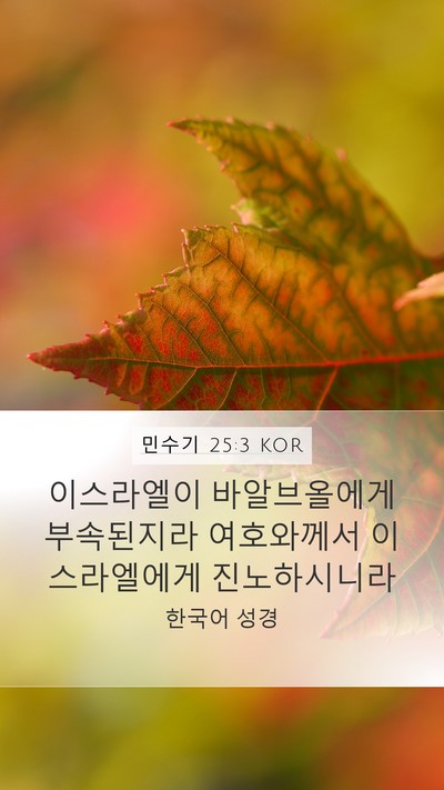민수기 25:3 KOR Bible Verse Image
