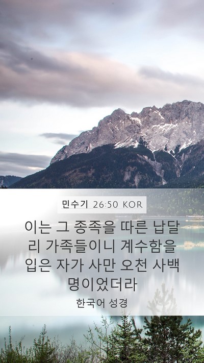 민수기 26:50 KOR Bible Verse Image