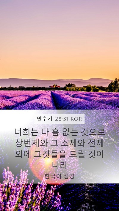 민수기 28:31 KOR Bible Verse Image