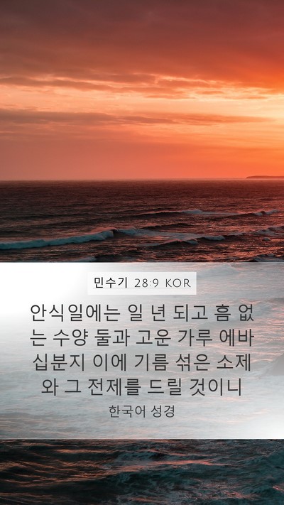민수기 28:9 KOR Bible Verse Image