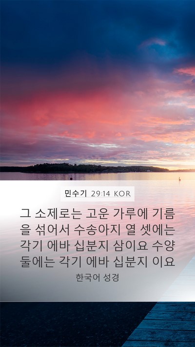 민수기 29:14 KOR Mobile Phone Wallpaper - 그 소제로는 고운 가루에 기름을 - Mobile Bible Verse Wallpaper