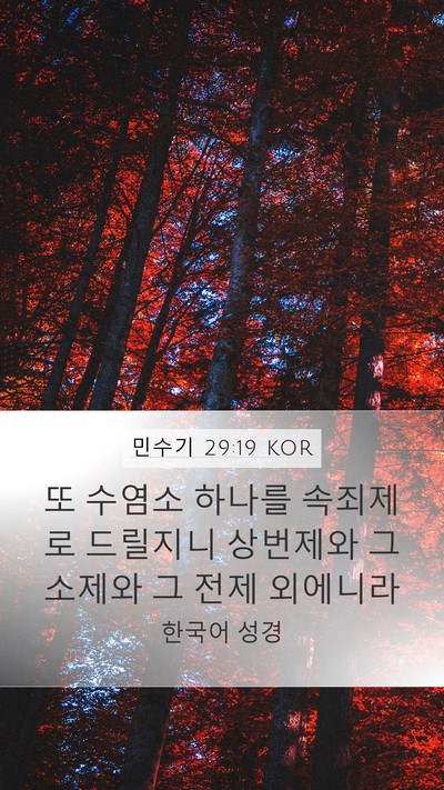 민수기 29:19 KOR Bible Verse Image