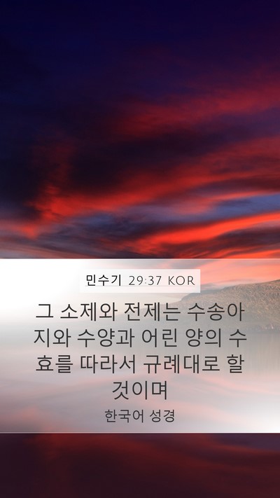 민수기 29:37 KOR Mobile Phone Wallpaper - 그 소제와 전제는 수송아지와 수양과 - Mobile Bible Verse Wallpaper