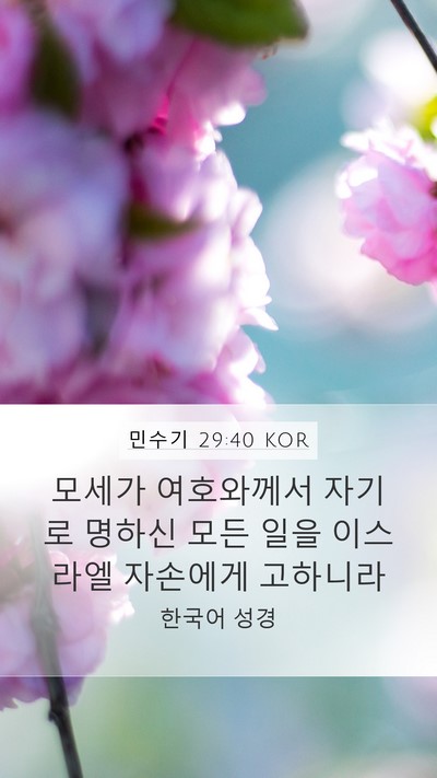 민수기 29:40 KOR Bible Verse Image