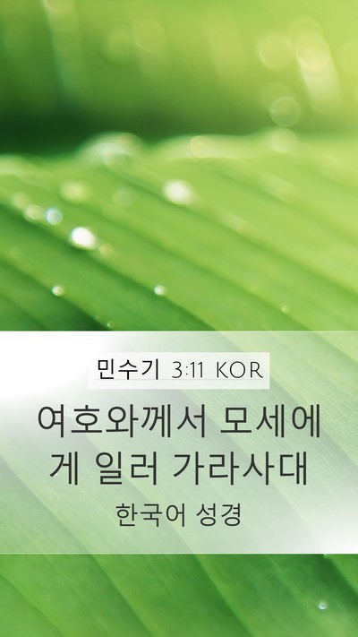 민수기 3:11 KOR Mobile Phone Wallpaper - 여호와께서 모세에게 일러 - Mobile Bible Verse Wallpaper