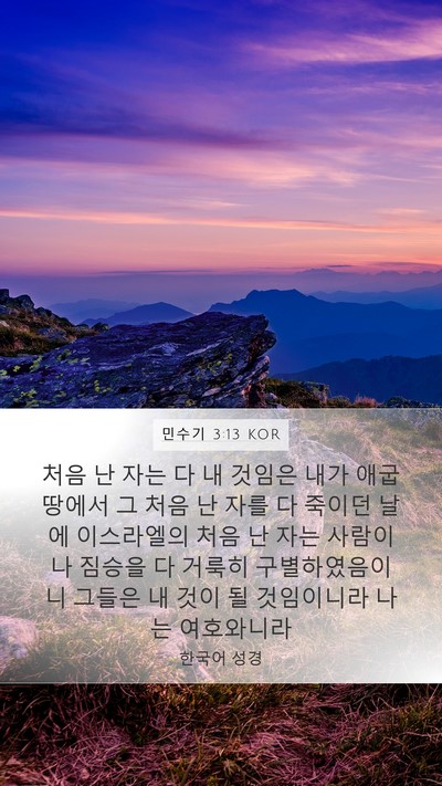 민수기 3:13 KOR Mobile Phone Wallpaper - 처음 난 자는 다 내 것임은 내가 애굽 - Mobile Bible Verse Wallpaper