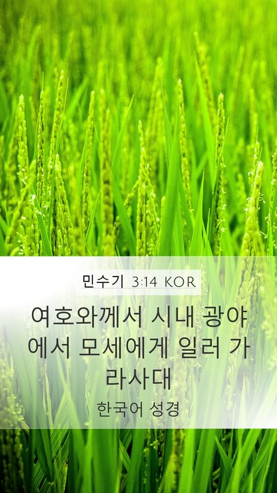 민수기 3:14 KOR Mobile Phone Wallpaper - 여호와께서 시내 광야에서 모세에게 - Mobile Bible Verse Wallpaper