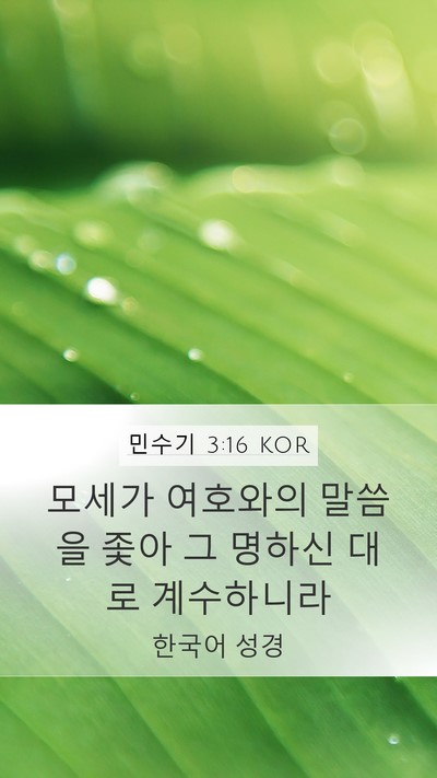 민수기 3:16 KOR Mobile Phone Wallpaper - 모세가 여호와의 말씀을 좇아 그 - Mobile Bible Verse Wallpaper