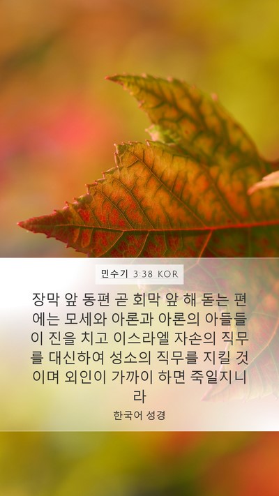 민수기 3:38 KOR Bible Verse Image
