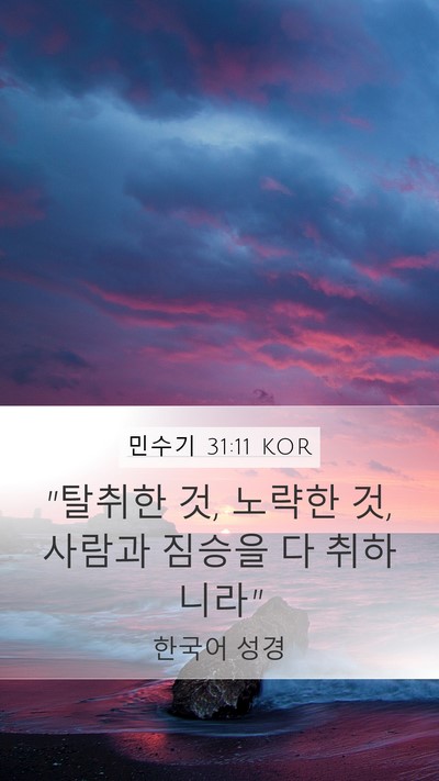 민수기 31:11 KOR Bible Verse Image