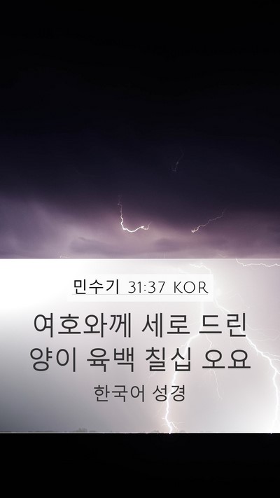 민수기 31:37 KOR Mobile Phone Wallpaper - 여호와께 세로 드린 양이 육백 칠십 - Mobile Bible Verse Wallpaper
