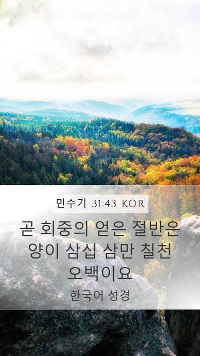 민수기 31:43 KOR Mobile Phone Wallpaper - 곧 회중의 얻은 절반은 양이 삼십 - Mobile Bible Verse Wallpaper