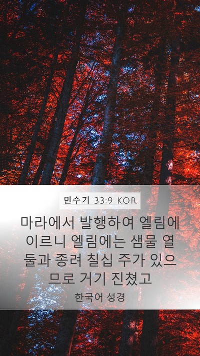 민수기 33:9 KOR Mobile Phone Wallpaper - 마라에서 발행하여 엘림에 이르니 - Mobile Bible Verse Wallpaper