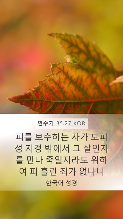 민수기 35:27 KOR Mobile Phone Wallpaper - 피를 보수하는 자가 도피성 지경 - Mobile Bible Verse Wallpaper